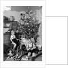 Two brothers are shown with their toys under the Christmas tree in Germany, ca. 1949 by Anonymous