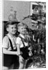 Two brothers look at a Christmas tree in their living room in Germany, ca. 1949 by Anonymous