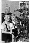 Two brothers look at a Christmas tree in their living room in Germany, ca. 1949 by Anonymous