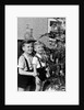 Two brothers look at a Christmas tree in their living room in Germany, ca. 1949 by Anonymous