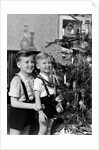 Two brothers look at a Christmas tree in their living room in Germany, ca. 1949 by Anonymous