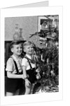 Two brothers look at a Christmas tree in their living room in Germany, ca. 1949 by Anonymous