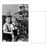 Two brothers look at a Christmas tree in their living room in Germany, ca. 1949 by Anonymous