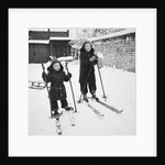 Two brothers stand on their skis in the snow, ca. 1950 by Anonymous