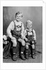 Two brothers pose for a childhood portrait in Germany, ca. 1949 by Anonymous