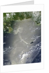 Oil slick in the Gulf of Mexico by Anonymous