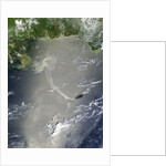 Oil slick in the Gulf of Mexico by Anonymous