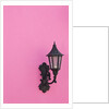Street lamp on pink wall of Colonial style building by Anonymous
