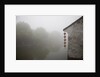 Riverside in the morning fog, Xi Tang, China by Anonymous