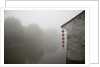 Riverside in the morning fog, Xi Tang, China by Anonymous