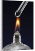 Test tube with liquid, over flame by Anonymous