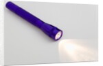 Flashlight by Anonymous