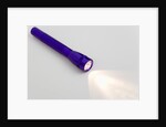 Flashlight by Anonymous