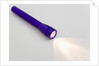 Flashlight by Anonymous