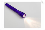 Flashlight by Anonymous