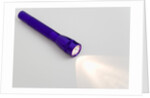 Flashlight by Anonymous