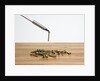 Magnetic screwdriver by Anonymous