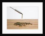 Magnetic screwdriver by Anonymous