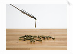 Magnetic screwdriver by Anonymous