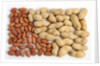 Nuts in and out of the shell by Anonymous