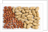 Nuts in and out of the shell by Anonymous