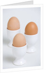 Hard-boiled eggs by Anonymous