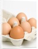 Egg crate by Anonymous