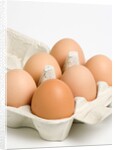 Egg crate by Anonymous