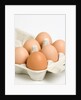 Egg crate by Anonymous