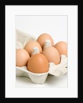 Egg crate by Anonymous
