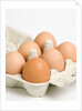 Egg crate by Anonymous