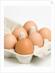 Egg crate by Anonymous