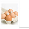 Egg crate by Anonymous