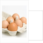 Egg crate by Anonymous