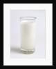 Glass of milk by Anonymous
