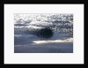 Mass of Starlings flying at twilight by Anonymous