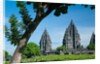 Prambanan Temple on Java by Anonymous