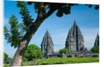 Prambanan Temple on Java by Anonymous