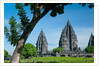 Prambanan Temple on Java by Anonymous