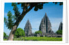 Prambanan Temple on Java by Anonymous