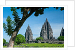 Prambanan Temple on Java by Anonymous