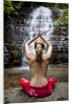 Woman meditating in front of a waterfall by Anonymous