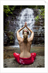 Woman meditating in front of a waterfall by Anonymous