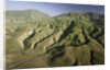 Tejon Ranch in California by Anonymous