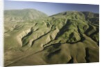 Tejon Ranch in California by Anonymous