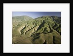 Tejon Ranch in California by Anonymous