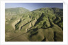 Tejon Ranch in California by Anonymous