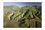 Tejon Ranch in California by Anonymous