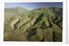 Tejon Ranch in California by Anonymous