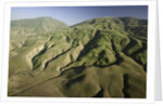 Tejon Ranch in California by Anonymous